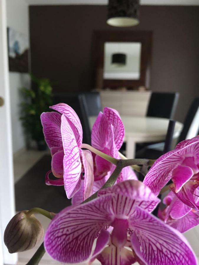 Apartmán Nano House Bègles Exteriér fotografie